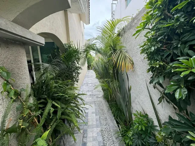 place photo 44