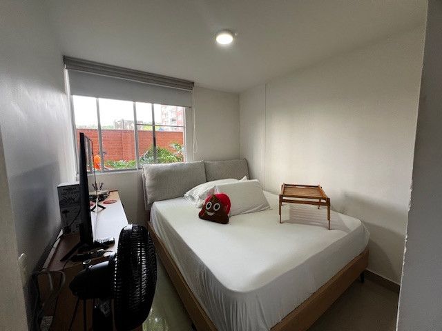 place photo 22