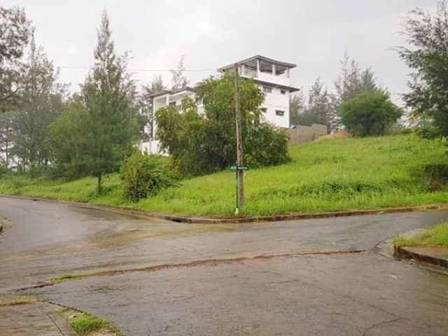 place photo 17