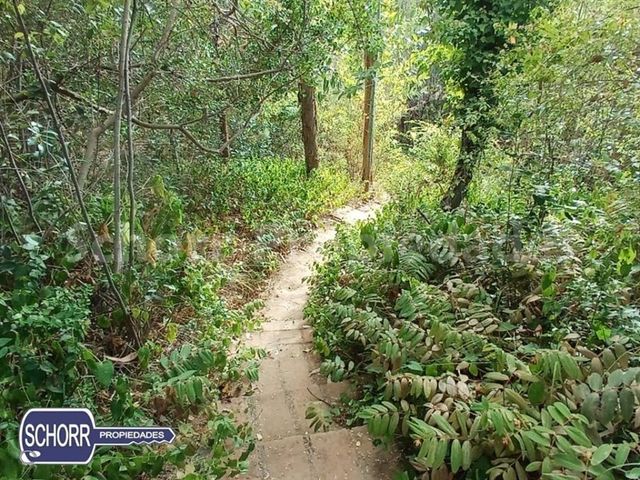 place photo 24