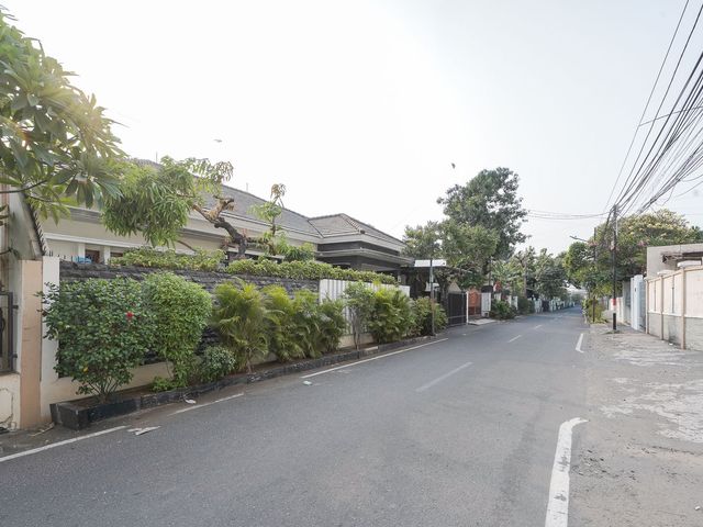 place photo 24