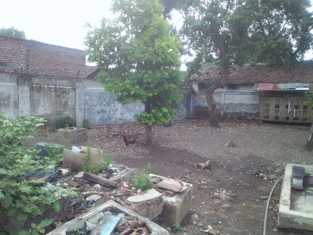 place photo 6