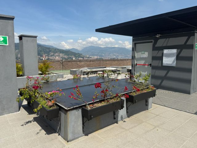 place photo 24