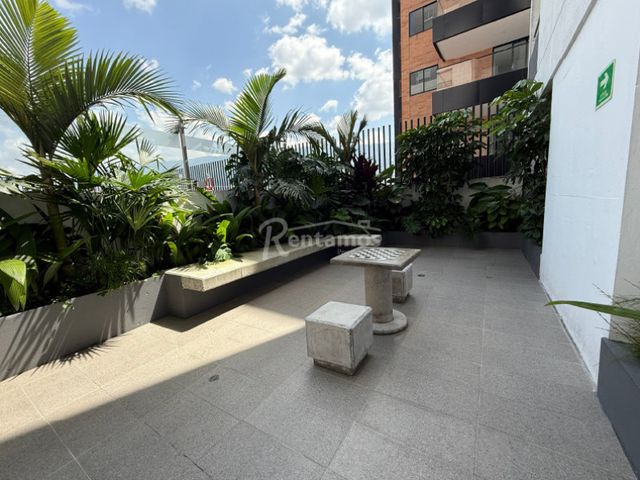 place photo 26