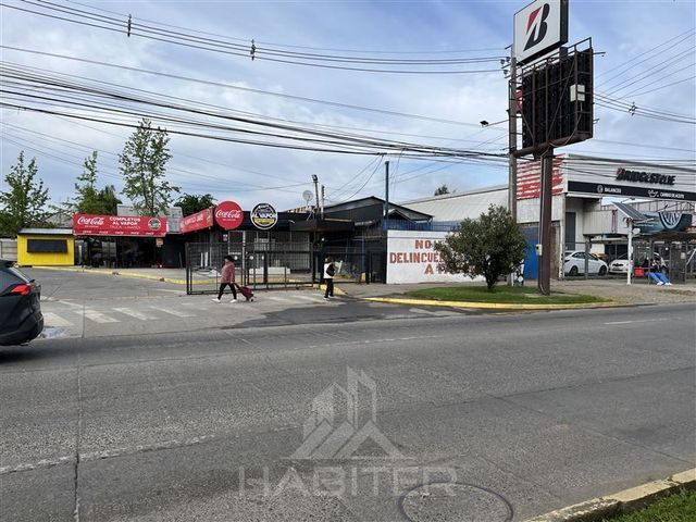 place photo 22