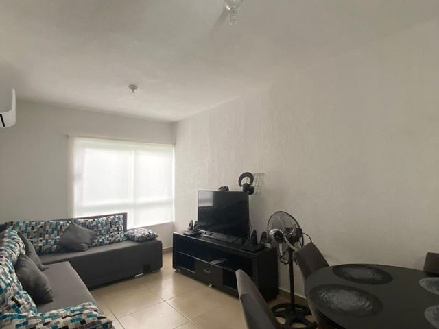 place photo 34