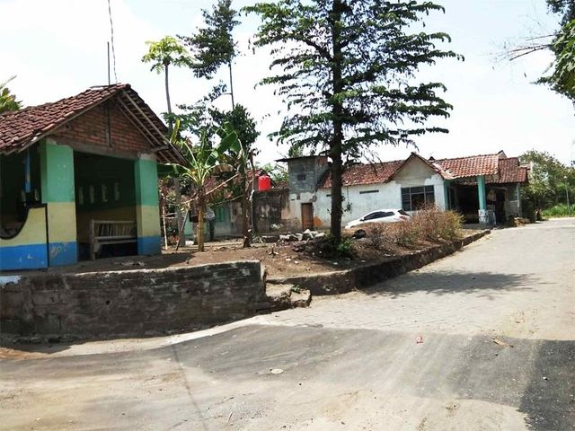 place photo 4
