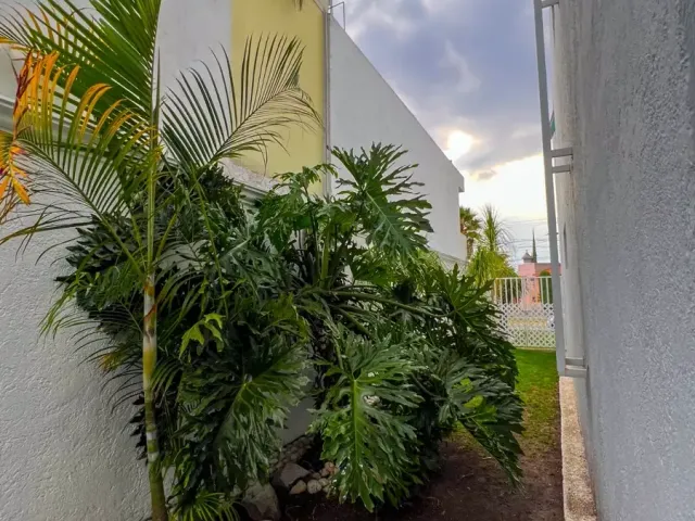 place photo 40