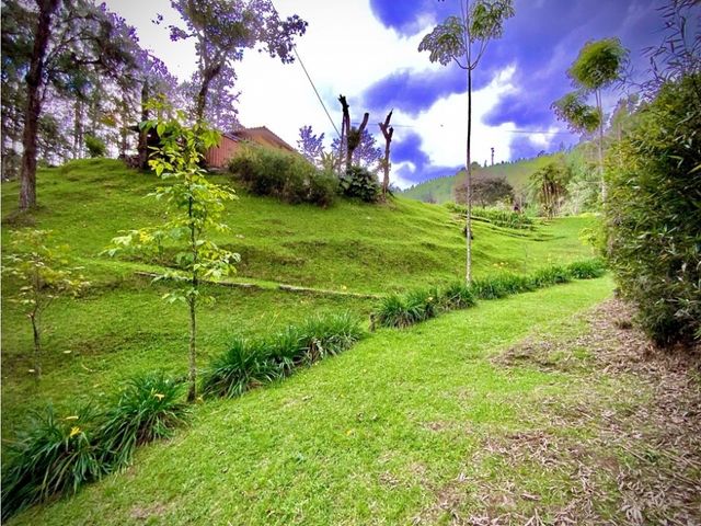 place photo 47