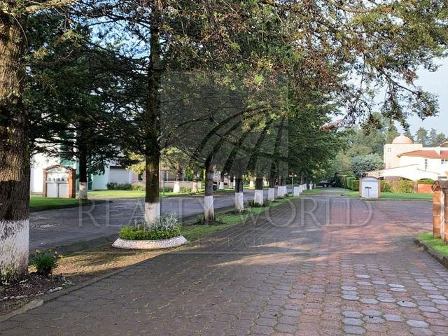 place photo 51