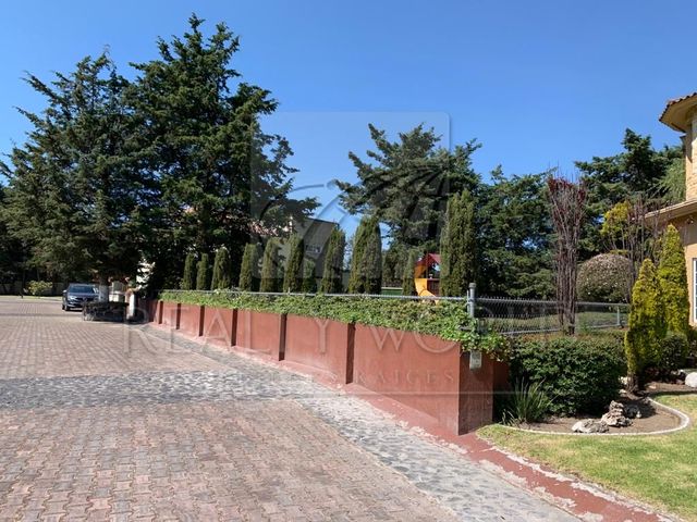place photo 50