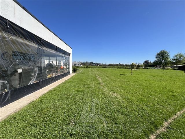 place photo 46