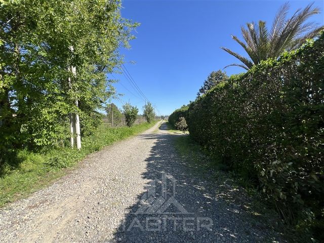 place photo 59