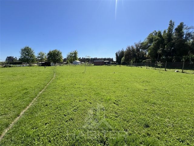 place photo 47