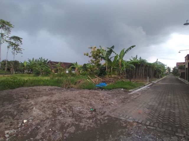 place photo 2
