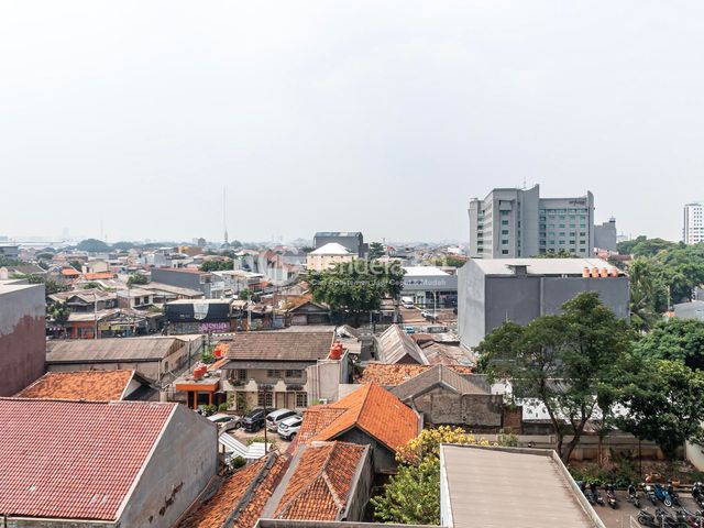 place photo 15