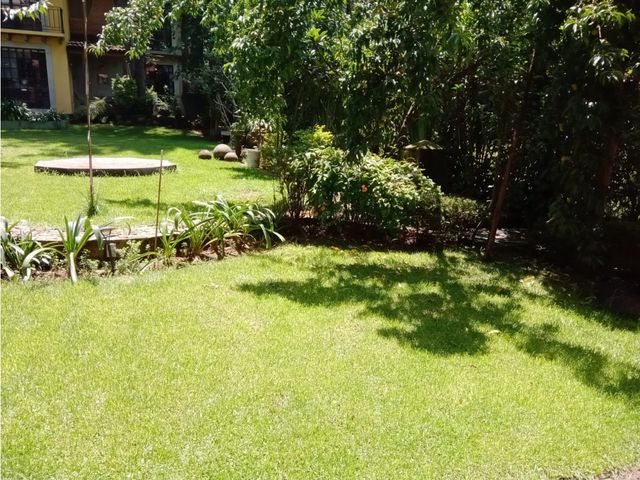 place photo 20
