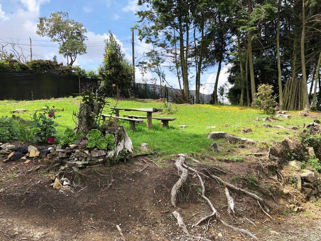 place photo 16