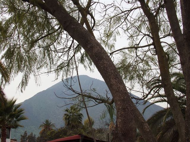 place photo 41