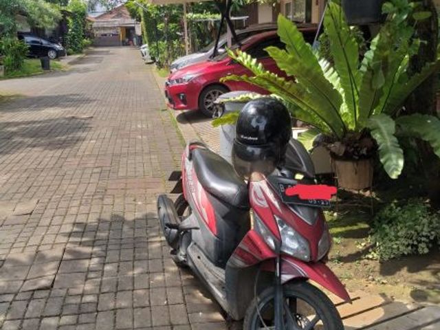 place photo 12
