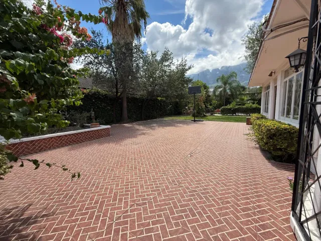 place photo 17