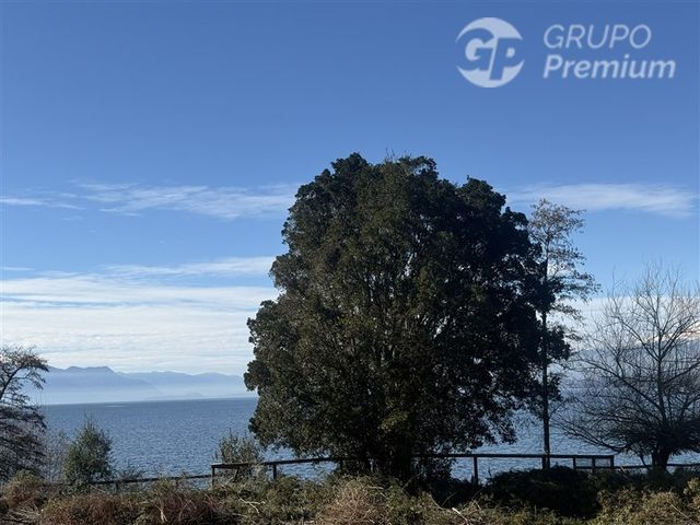 place photo 39