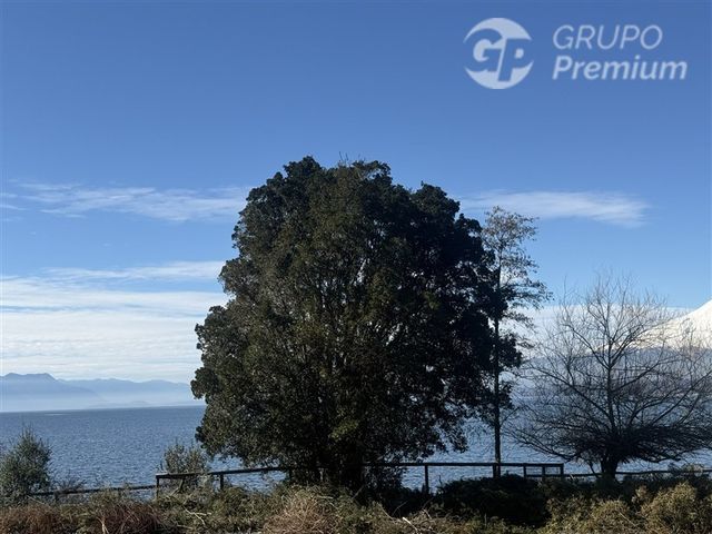 place photo 40