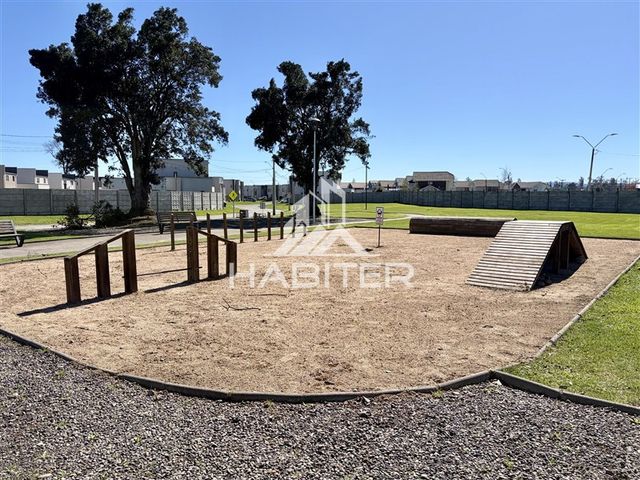 place photo 42