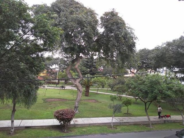 ALQUILER DEPARTAMENTO FRENTE A PARQUE, SAN ANTONIO-MIRAFLORES