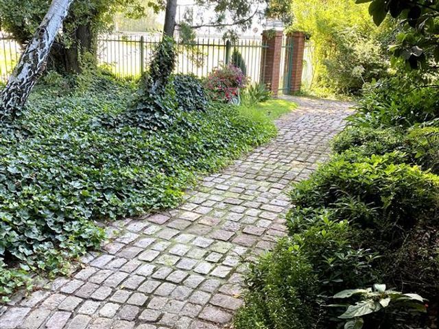 place photo 36