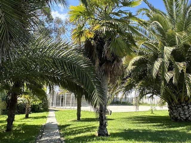 place photo 84