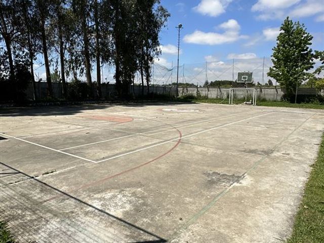 place photo 86