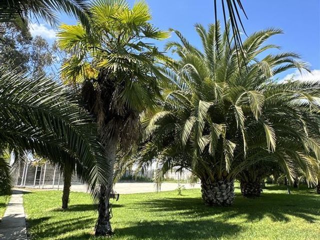 place photo 85