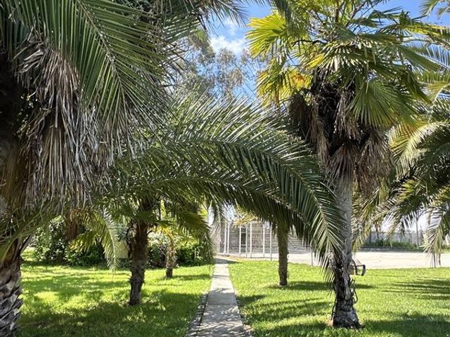 place photo 83