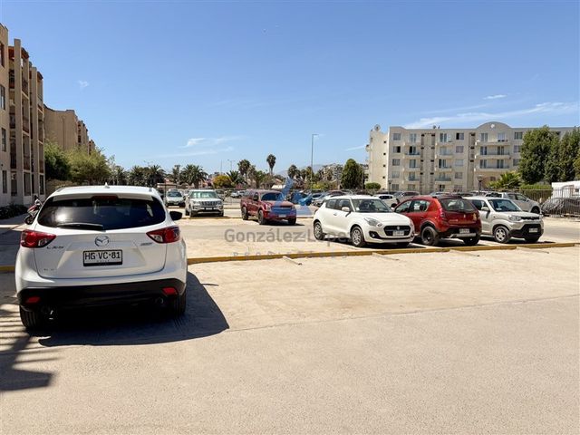 place photo 24