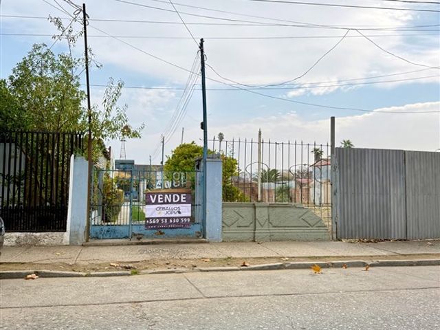place photo 27