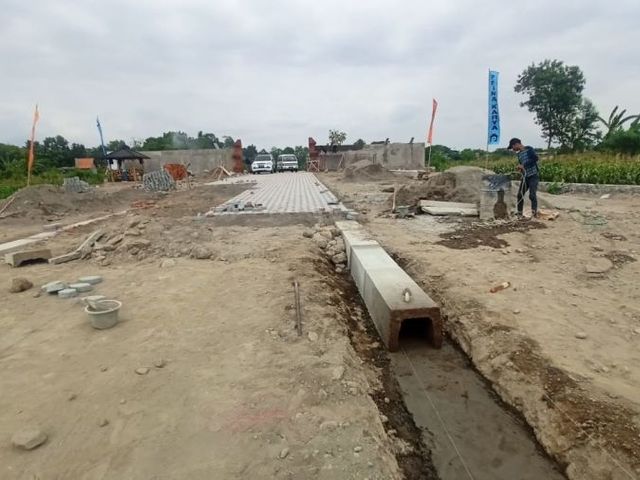 place photo 3