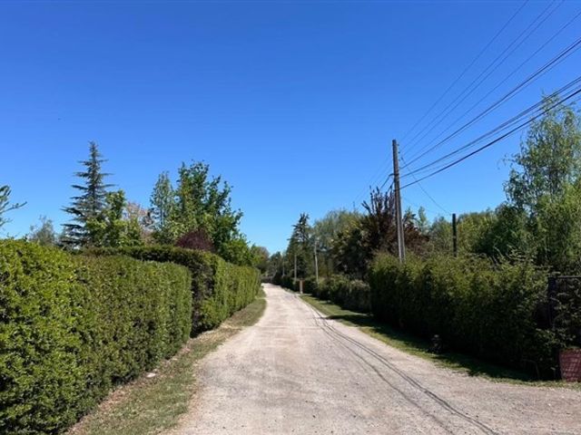 place photo 38