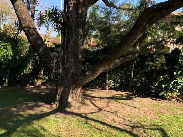 place photo 31