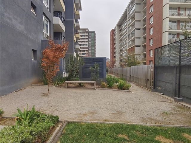 place photo 40