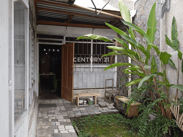 place photo 9