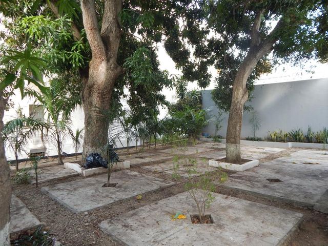 place photo 17
