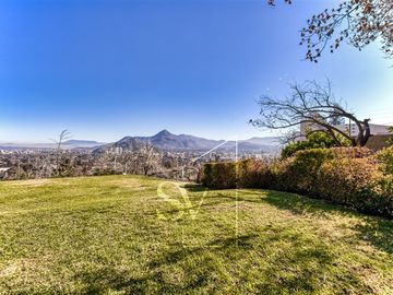 place photo 47