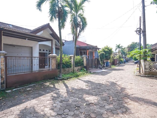 place photo 27