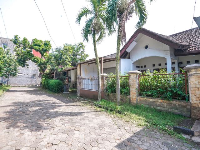 place photo 25