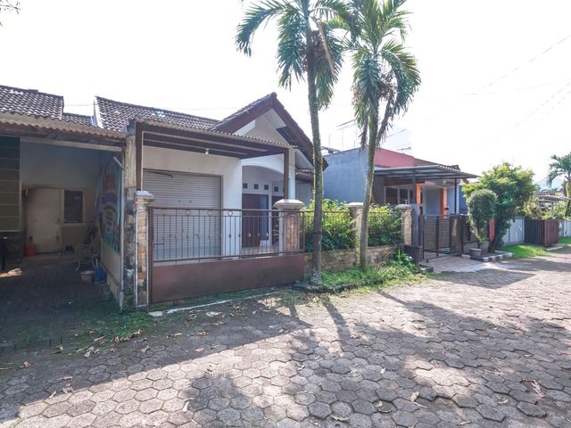 place photo 26