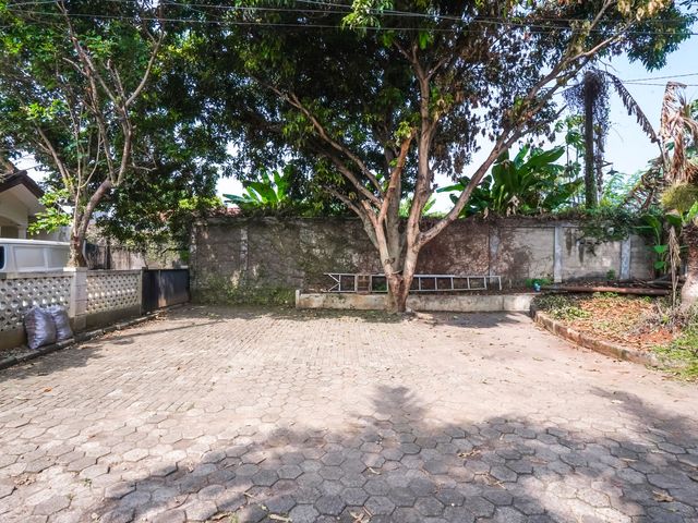 place photo 28
