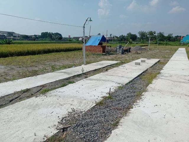 place photo 4