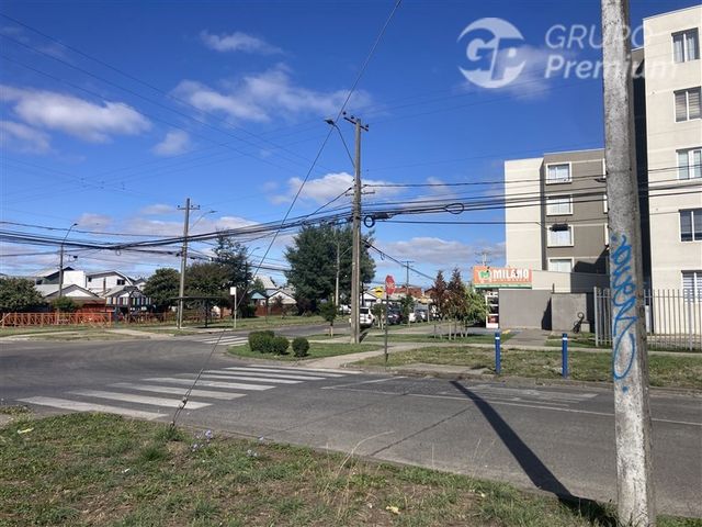 place photo 4
