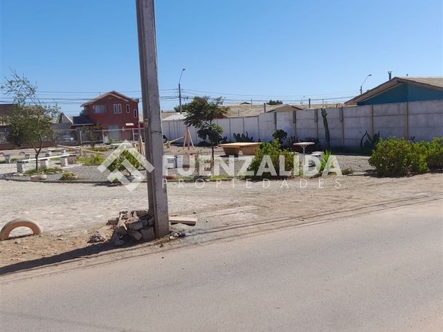 place photo 10